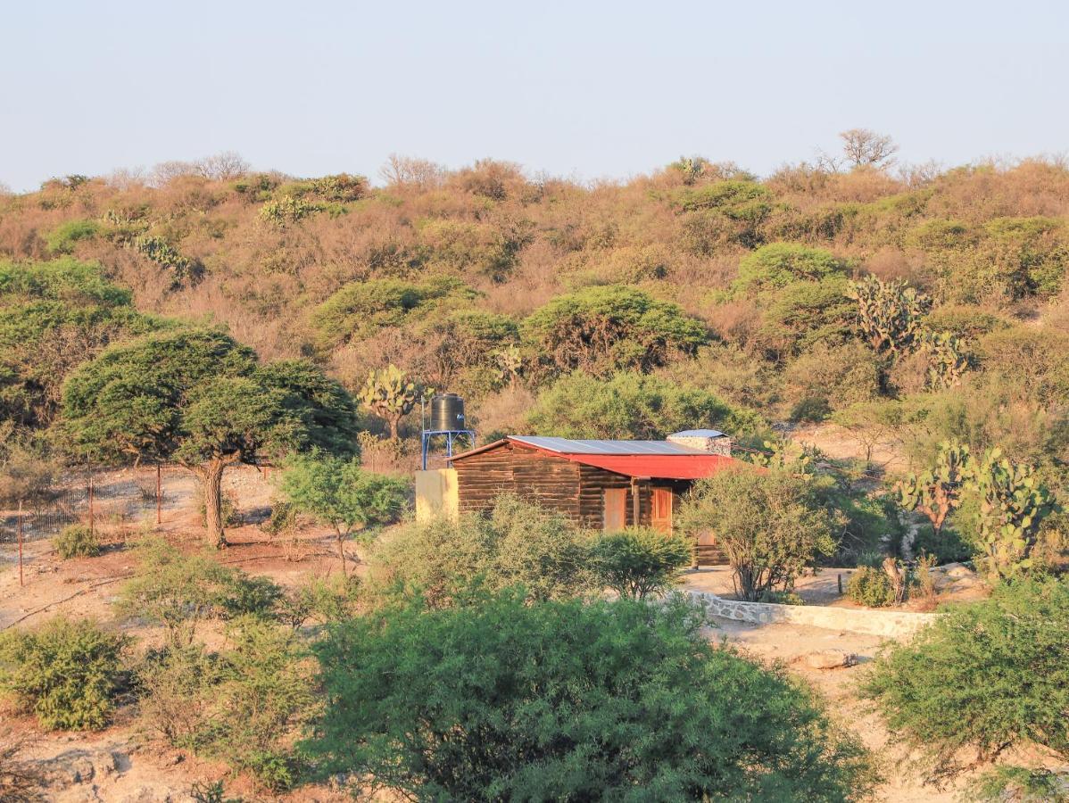 Centro Ecoturistico Tatu By Rotamundos 호텔 산미겔데아옌데 외부 사진